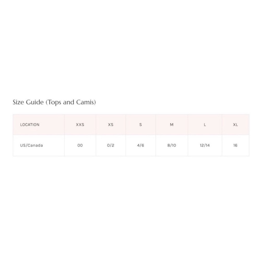 Free People 5 Star Tee / Sweet Cinnamon NWT SZ XL - Picture 12 of 14